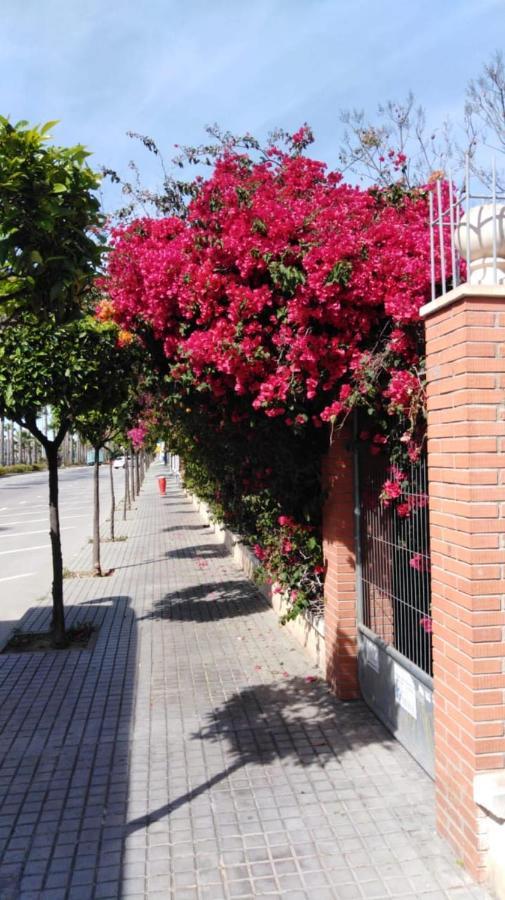 Estudio Comodo En Torrevieja Exterior foto